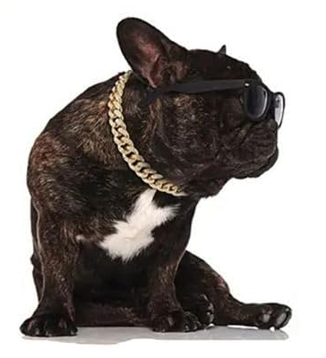 Glam Halsband für Hunde